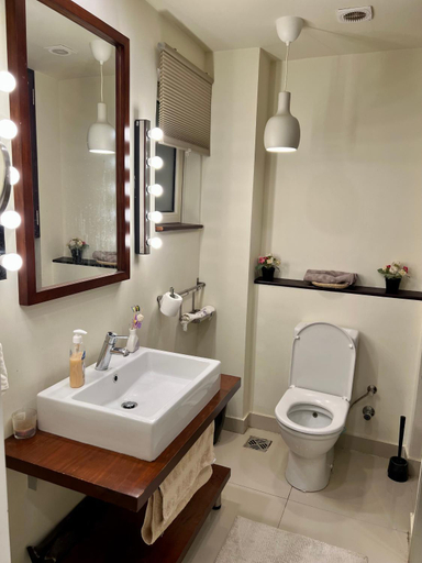 Bathroom 3, veranda sahl hasheesh, Safaja