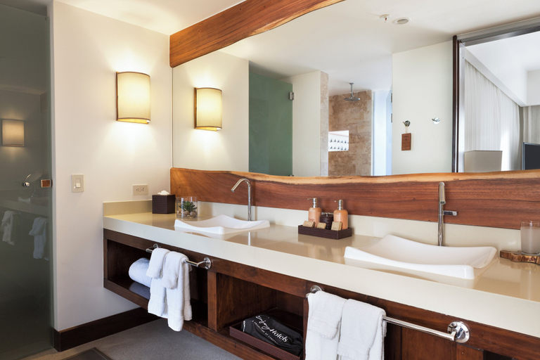 Bathroom 4, El Mangroove Papagayo, Autograph Collection, Carrillo