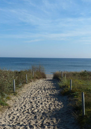 View from property, Nice Apartment in Dornumersiel, Vorpommern-Rügen