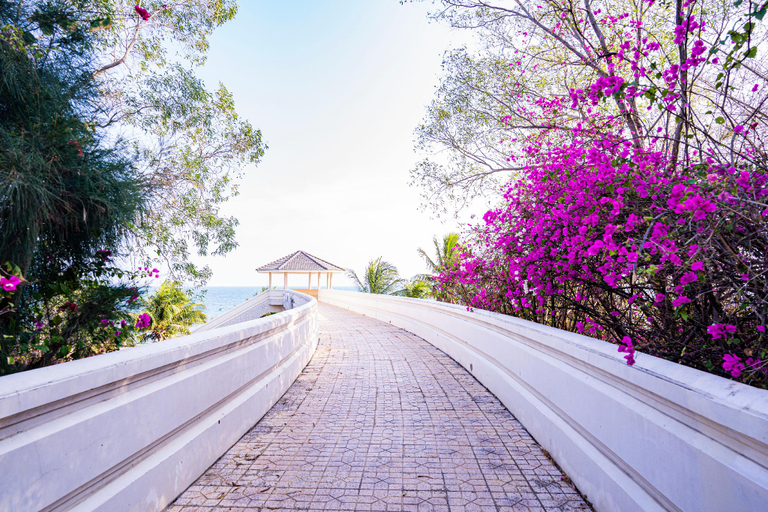 Others 4, Jack's Home - Ocean Vista Condotel Sealink Mui Ne , Phan Thiết