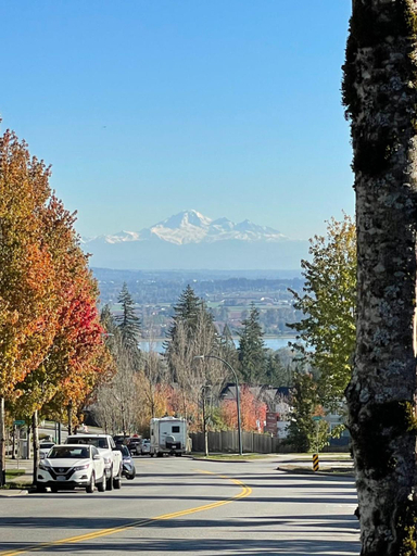 Others 3, AC-Emily's Nest 1 Bedroom Shared Bathroom Free Parking Self Check-in, Greater Vancouver