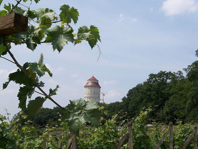 Miscellaneous 2, "weinberg Uitzicht" in het Felix Huis, Meißen