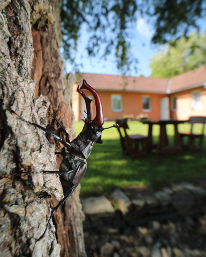 Others 3, Penzion Lukov, Znojmo