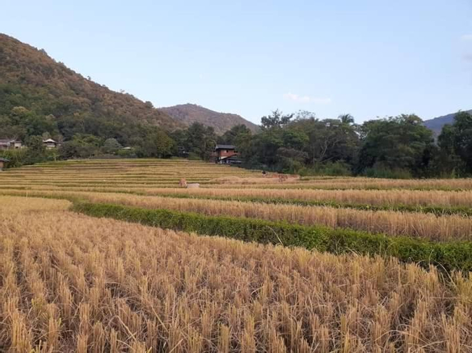 Exterior & Views 2, บ้านพักชิปู ป่าบงเปียง, Mae Chaem