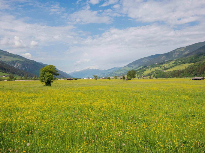 Others 5, Chalet in Niedernsill near Ski Slopes, Zell am See