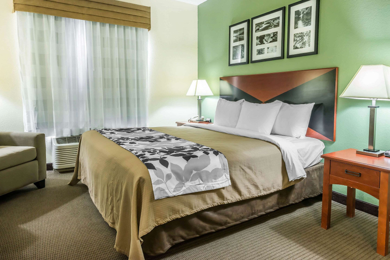 Bedroom 3, Sleep Inn & Suites University/Shands, Alachua