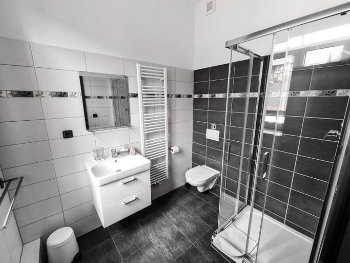 Others 4, Apartmany u Maxiku, Trutnov