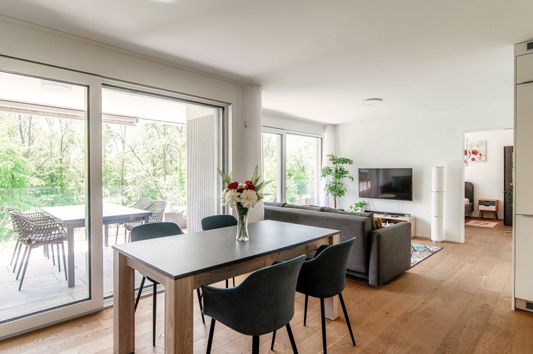 Living area 2, Linda Terrace, Locarno