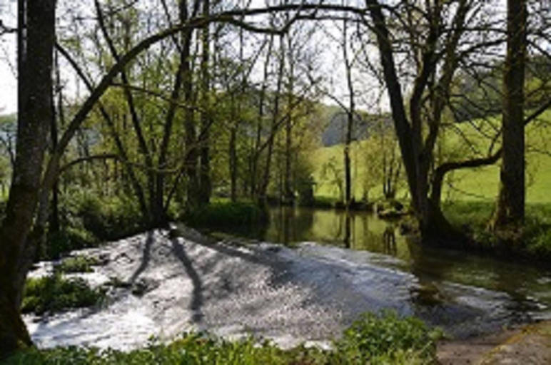 Others 3, Gasthaus Holdermuhle, Main-Tauber-Kreis