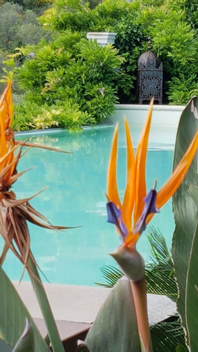 Sport & Beauty 2, Tenuta Agriturismo IL RISVEGLIO, Imperia