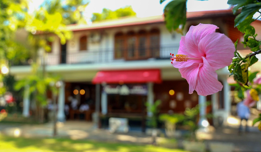 Others 4, WISDOM BOUTIQUE RESORT, Kundasale
