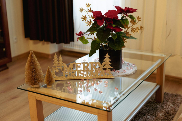 4, Apartmany u tri jehnatek, Karlovy Vary