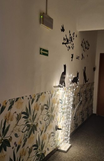 Others 2, Green Cat Rooms, Kraków City