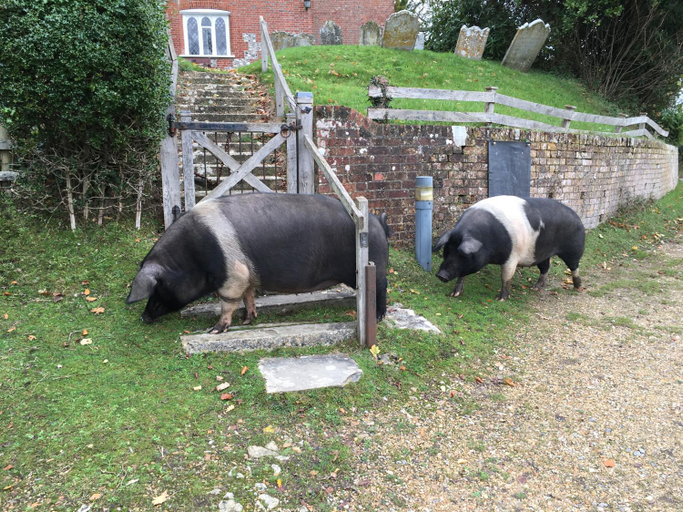 Others 5, No 64 Bed and Breakfast, Hampshire