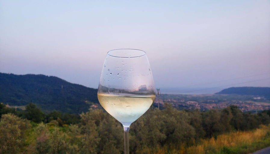 Food & Drinks 5, Vinomare Guesthouse, Massa Carrara