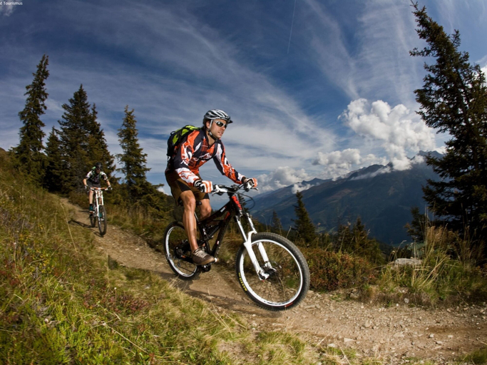 Others 4, Apartment in Neukirchen near Ski Lift, Zell am See