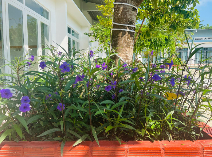 Exterior & Views 1, HY. GUESTHOUSE PHU QUOC, Phú Quốc
