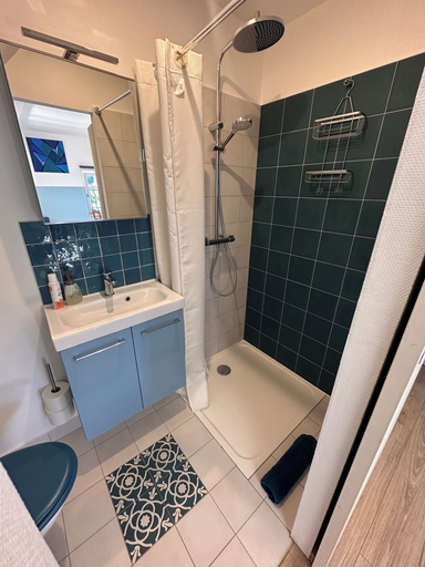 Bathroom 4, Les Cigognes de Rosheim, Bas-Rhin