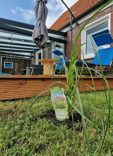 Exterior 2, Beach Chair No.1 Comfortable Vacation Home, Friesland