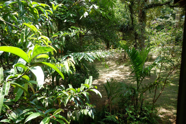 Others 4, Jungle Zen Janda Baik Campsite, Bentong