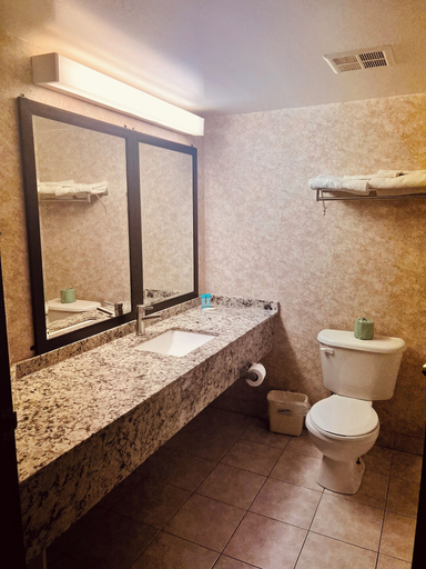 Bathroom 4, Lexington Inn & Suites Windsor, Essex