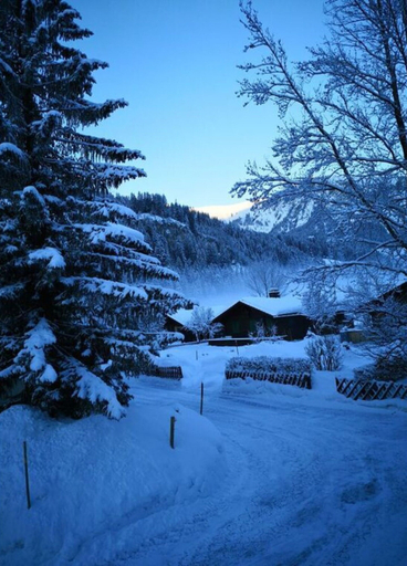 Exterior 4, Charming Apartment in Lenk, Obersimmental