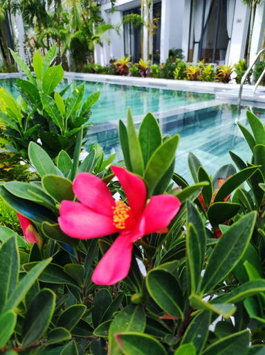 Sport & Beauty 2, Ngọc Trai Xanh Bungalow, Phú Quốc
