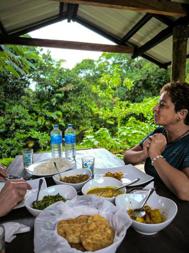 Food & Drinks, Rainforest cabin, Kotapola