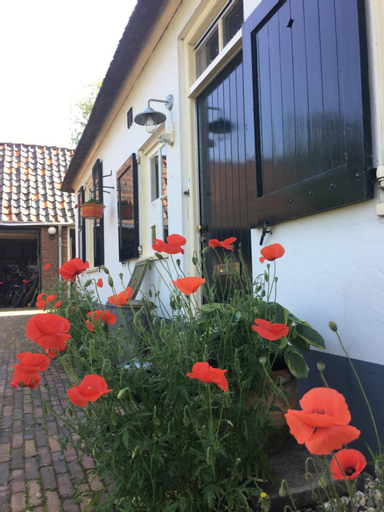 Bed and Breakfast de Bosakker, Gorssel