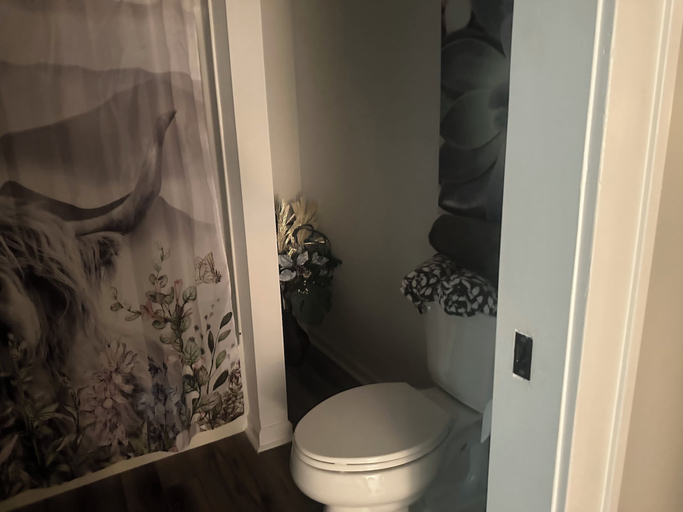 Bathroom, E Street Gallery King BedroomSHARED Bath, Butler