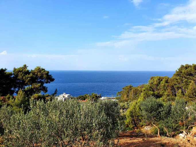 5, Apartmani M&S, Jelsa