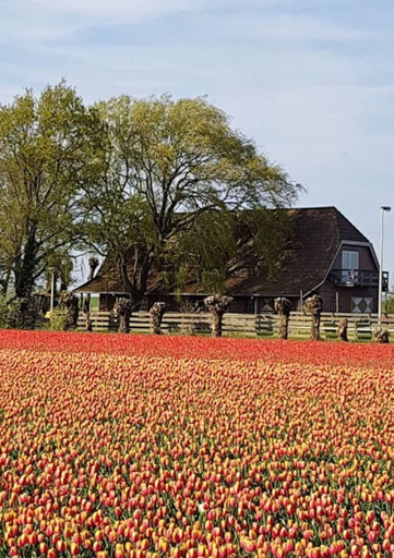 Property amenity 3, Country Life Comfortable Holiday Residence, Zijpe