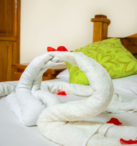 Others 5, hostal san jorge, Pereira