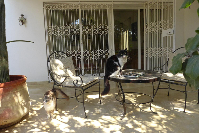 Others 4, Dar Mayya, La Marsa