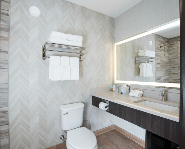 Bathroom 4, Pomeroy Inn & Suites Prince George, Fraser-Fort George