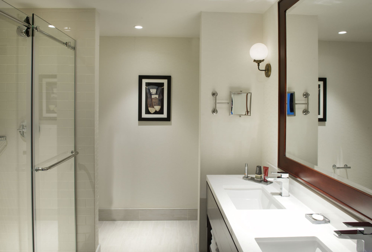 Bathroom 4, Marriott Syracuse Downtown, Onondaga