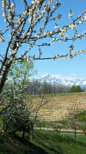 Others 4, Charming Barolo Wine Loft, Cuneo