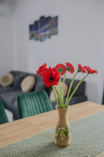 Others 2, Apartament Radiana, Sanmartin