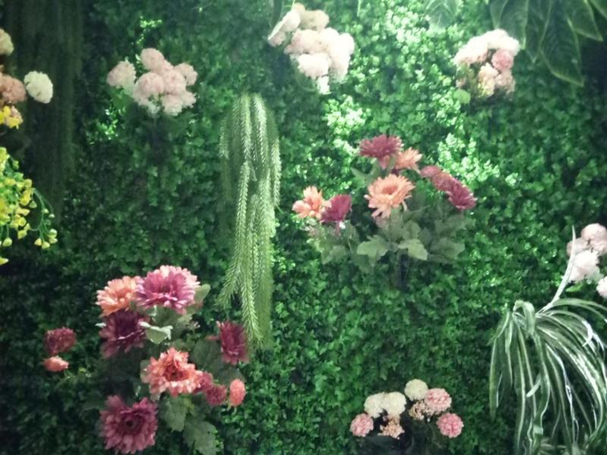 Others 4, Vatica Hotel Xuzhou Suining West Bayi Road, Xuzhou