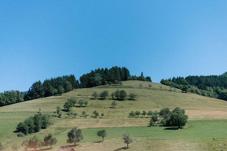 Others 5, Moderne 2 Zi.FeWo BlackForest Art Nahe Freiburg, Emmendingen