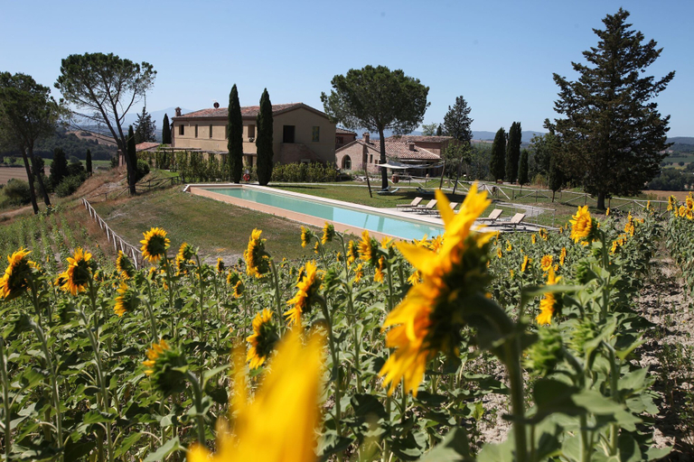 Exterior & Views 2, Tenuta d'Arbia, Siena