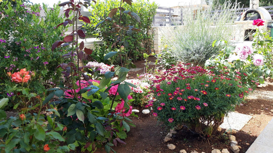 Garden 2, Tesoro luxury apartments, Epirus