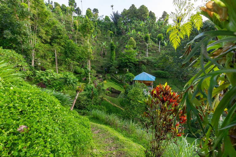 Others 2, Garden Terrace Bali, Buleleng
