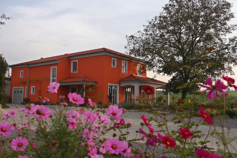 Others 4, Weinhof am Nussbaum, Kitzingen