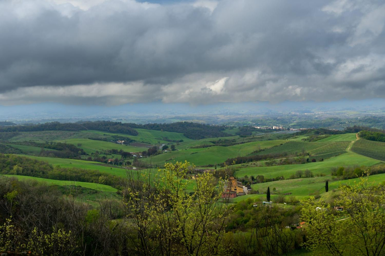 Others 3, RossoToscano, Arezzo