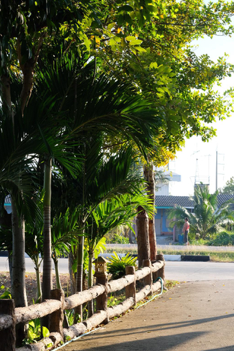 Others 4, Wiangkham Resort, Photharam