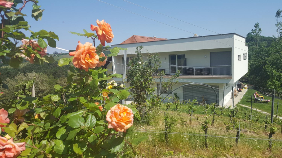 Exterior & Views 1, Boutique Hotel Toso Genussreich, Leibnitz
