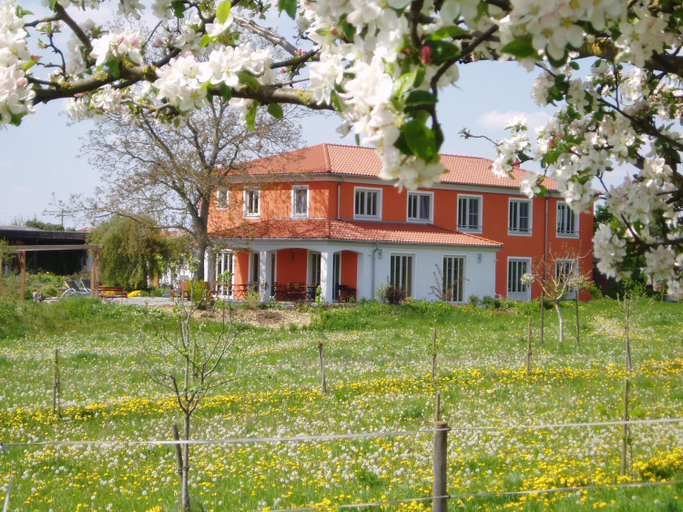 Others 2, Weinhof am Nussbaum, Kitzingen