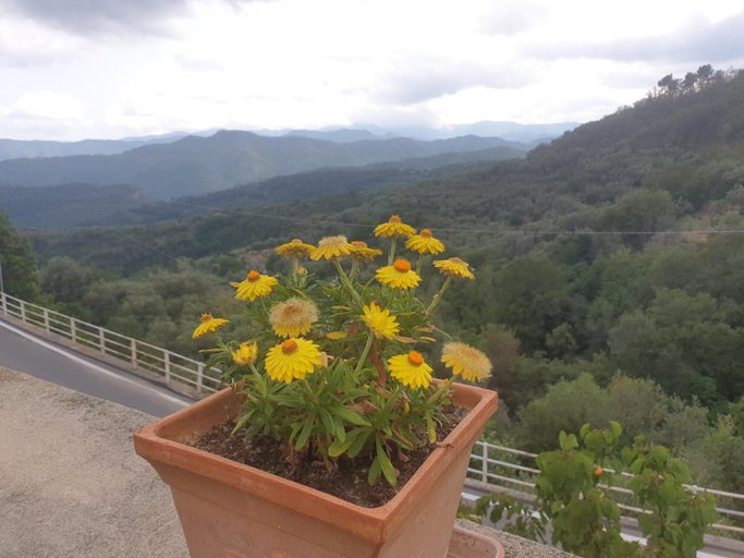 Others 2, Bed & Breakfast Ca' di Vissai, Savona