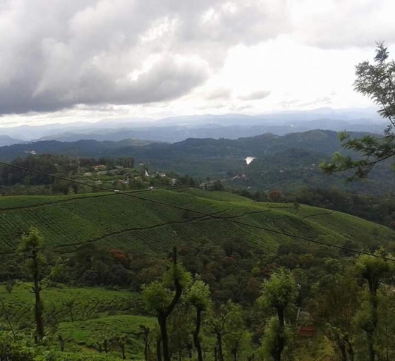 3, Munnar Lush Greens, Idukki